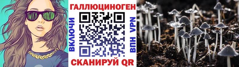 где найти   Петухово  Галлюциногенные грибы Psilocybe 
